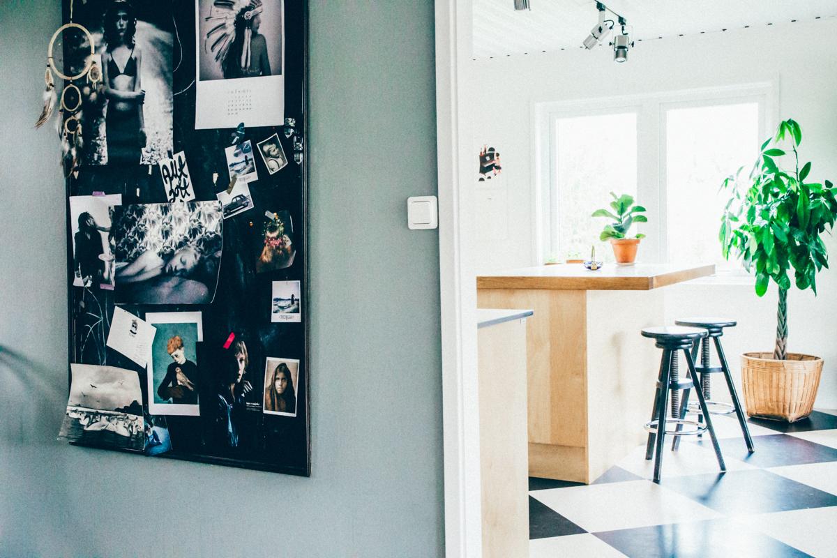 Plantas en la cocina