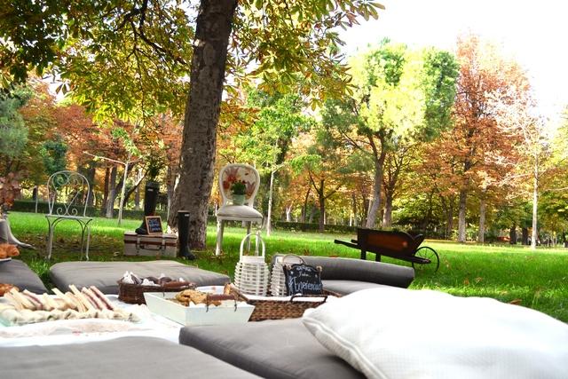  photo Decoracioacuten picnic Retito Secreto Mastermind Experienciar 15_zpszmxh1wbb.jpg