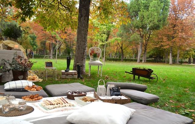  photo Decoracioacuten picnic Retito Secreto Mastermind Experienciar 45_zpswdvhttja.jpg