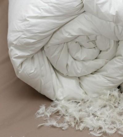 relleno nordico natural de pluma