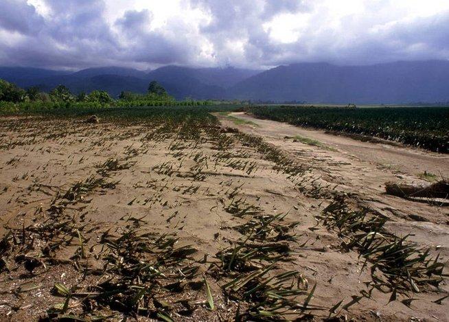 cambio climático