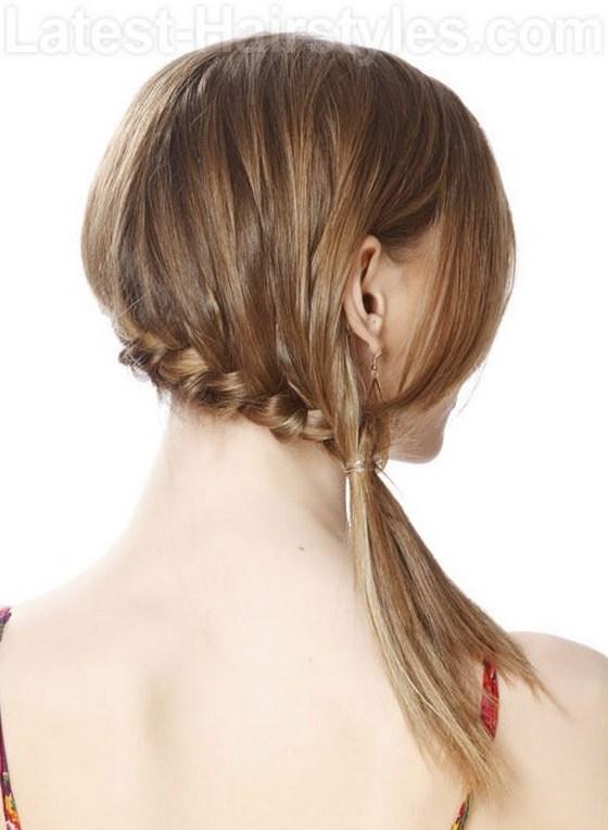 pelo trenzado con coleta