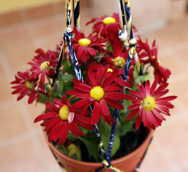 maceta colgante macramé 13