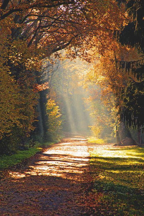 96ca1161131e2992fbd1ec54dcc22e37