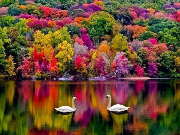 a4c8cefa2a6001c524c3fcefe2b23cdb