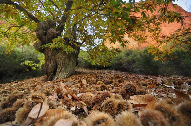 be4ea3e6e8b68ea1c4ef494ac5b37f60