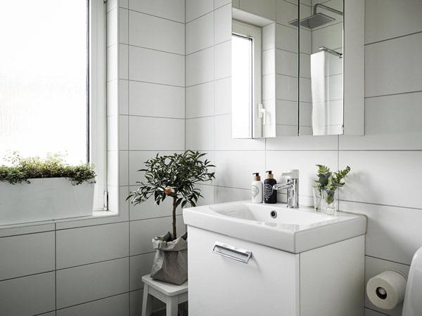 AYS-BAÑO-ALMACENAJE-2