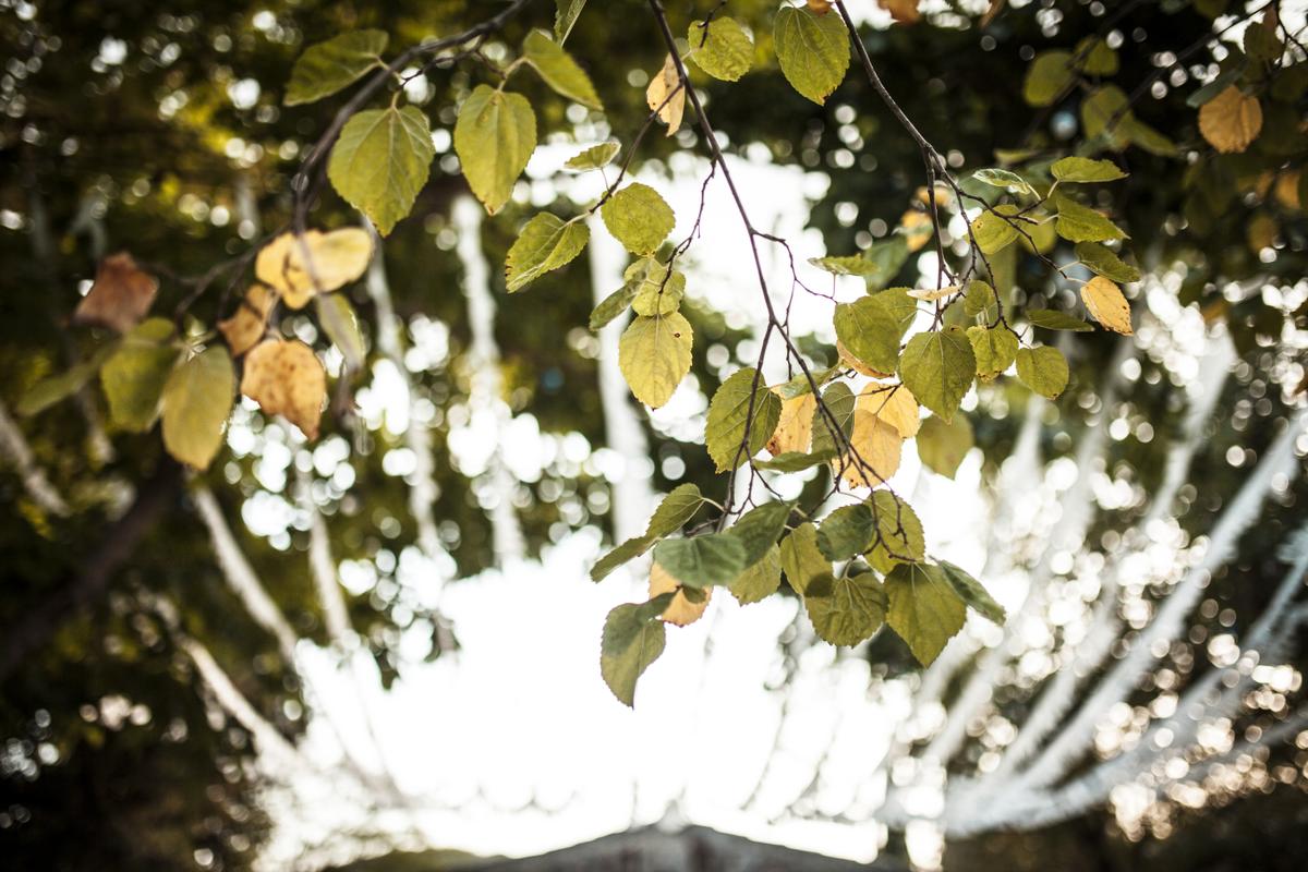 Sofia&James Intro Wedding016