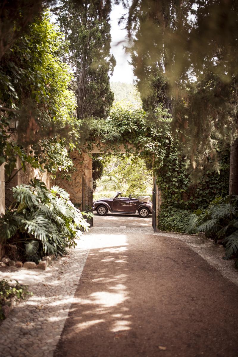 Sofia&James Wedding day419