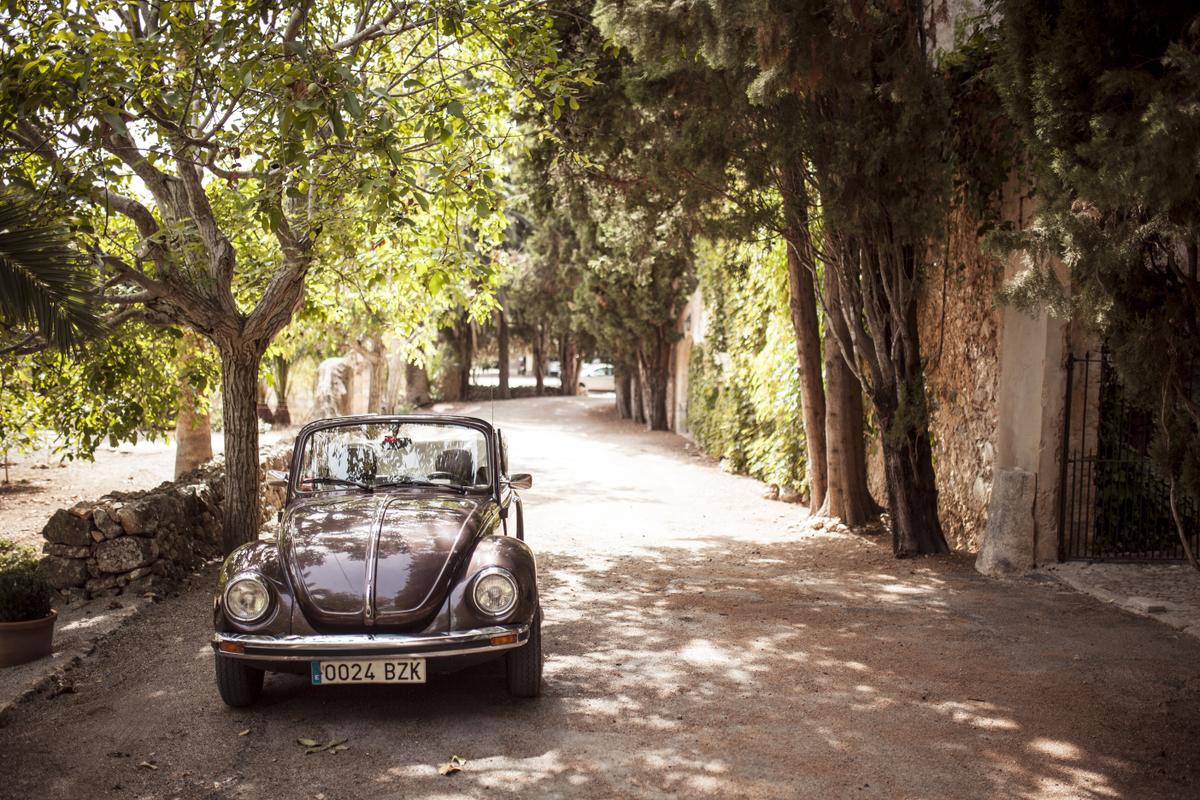 Sofia&James Wedding day420