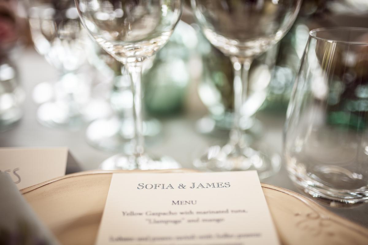 Sofia&James Wedding day332