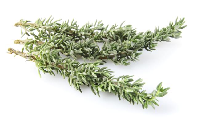 Thyme.