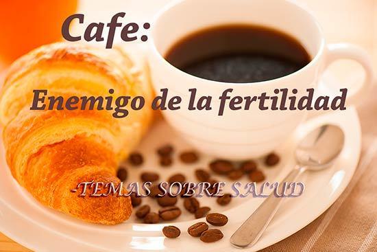 fertilidad