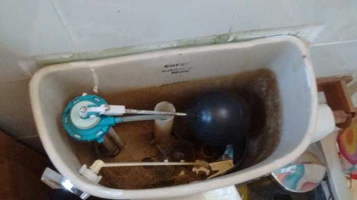 IMG_20150917_140043775