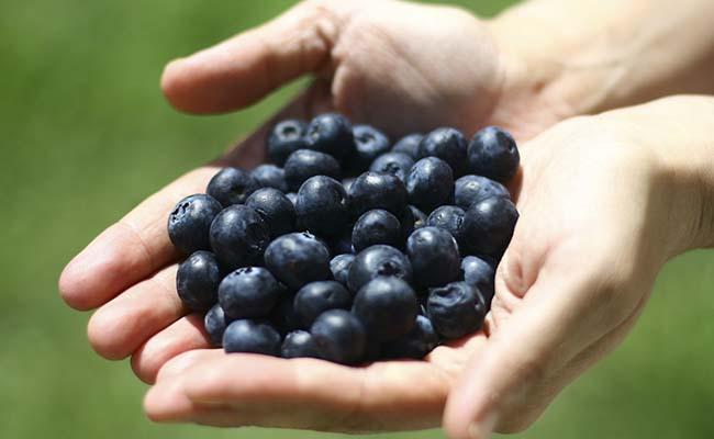 Beneficios de consumir arándanos