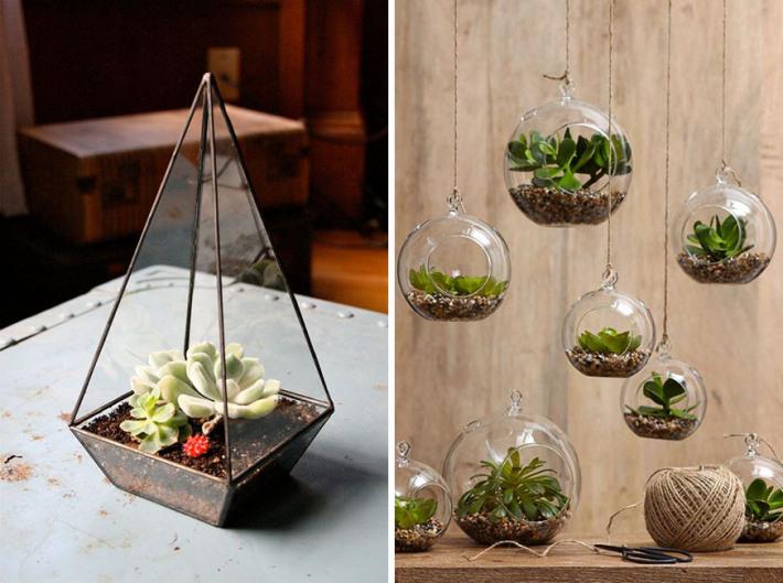 Crea paso a paso un terrario de plantas interiores | Decoración