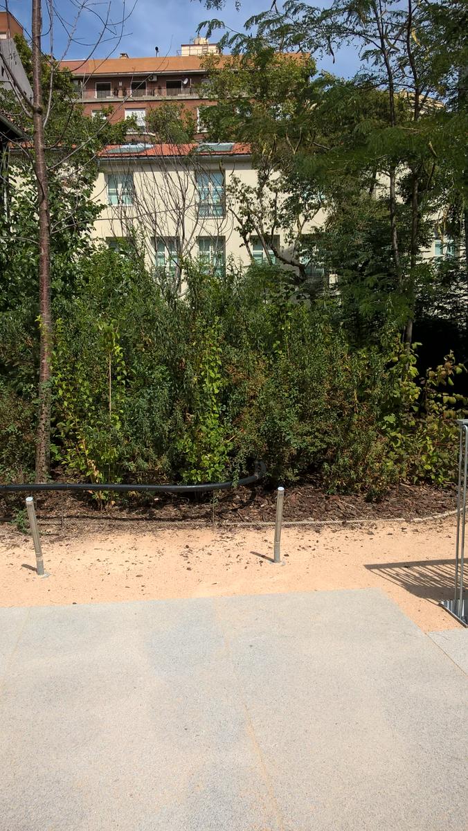 Fundación Francisco Giner de los Ríos