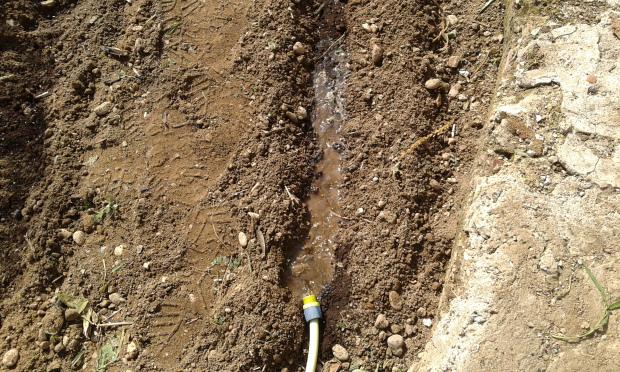 Surcos llenos de agua para plantar calçots