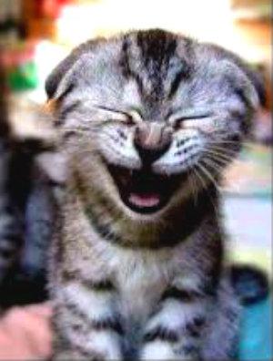 Bromita de ADVERTENCIA