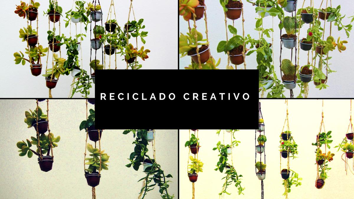 Mini macetero jardín vertical con cápsulas de café