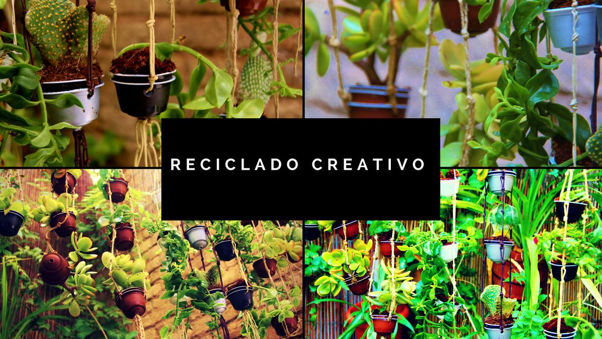 Mini macetero jardín vertical con cápsulas de café