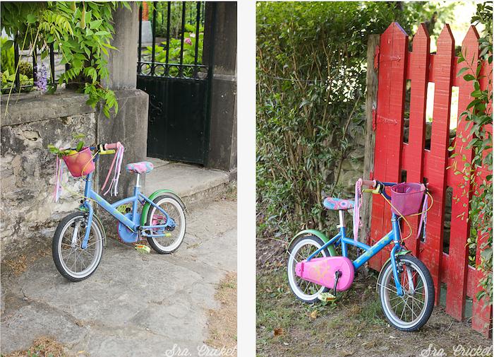 pintar-bicicleta-de-nino-sra-cricket