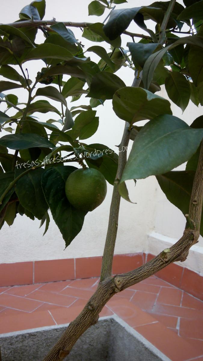 PicsArt_1443980430040