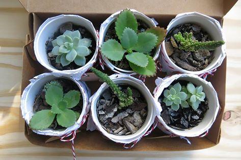 12036894_415959548598234_5605032488603277465_n