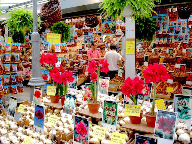 Mercado de las Flores Amsterdam