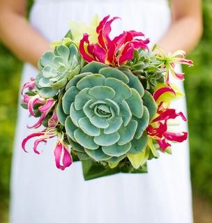 Suculentas-ramo-de-novia-1