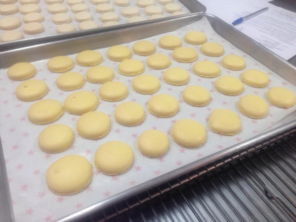 12038103_888522337908551_263727768441854130_n