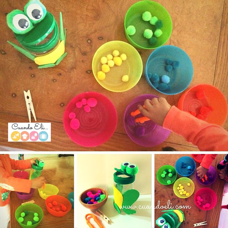 Rana come pompones 4