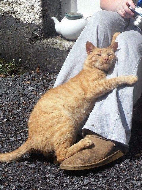 f7a07a1d965834f0ad559828c4b8728b