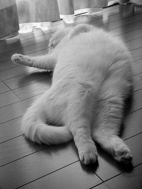 a8eaabfd35588c248f4e0c589366e0a1