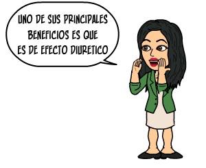 Dieta-del-ajo-llega-esplendida-al-verano-bajar-de-peso-perder-peso-dieta-salud-3