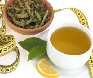 Te Verde como coadyuvante para perder peso