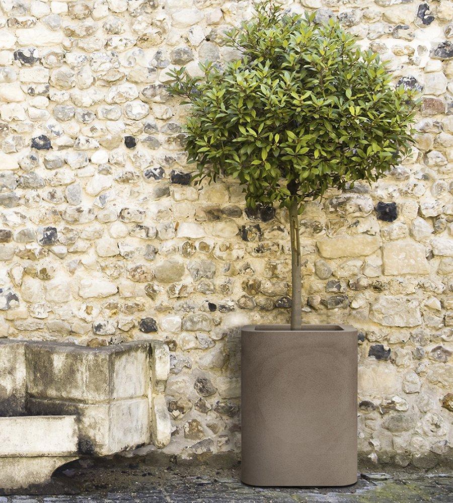 jardin en otono kizuco