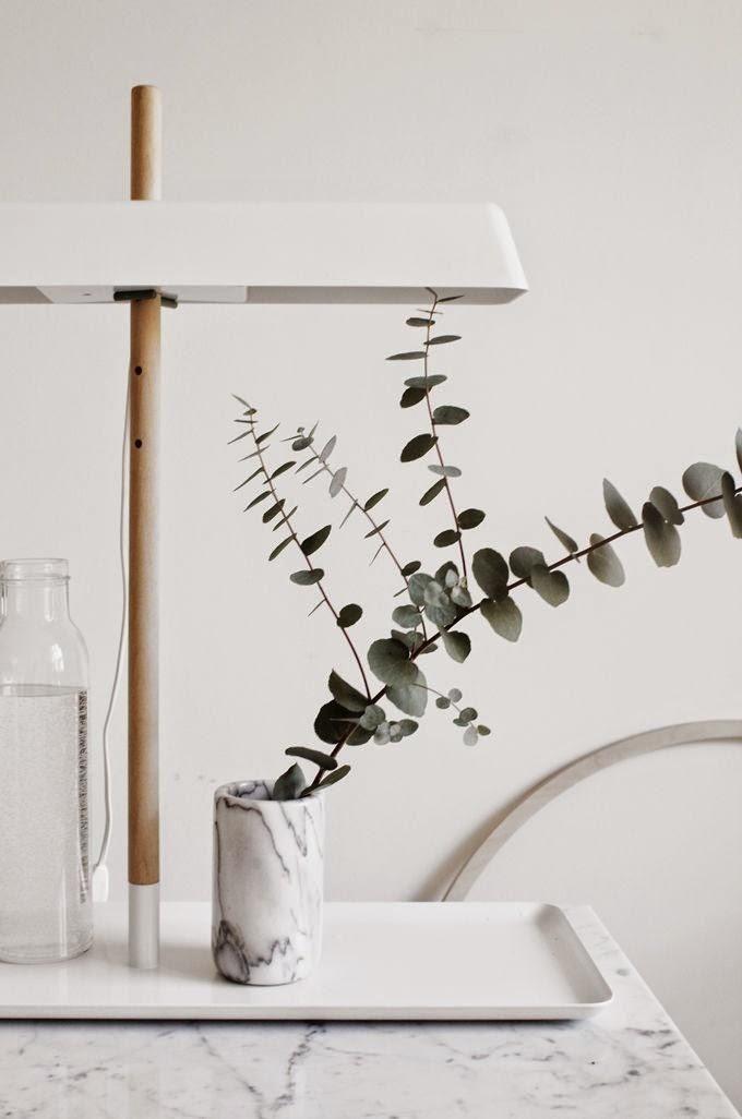 Ramas de eucalipto: Ideas para dar ese toque natural y acogedor en tu hogar.