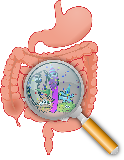 microbiota intestinal