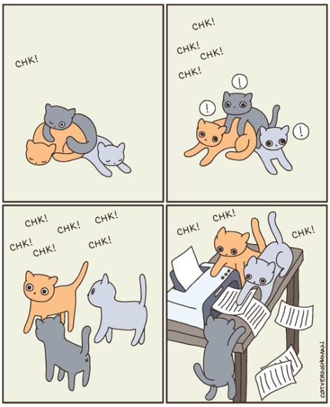 gatos jugando