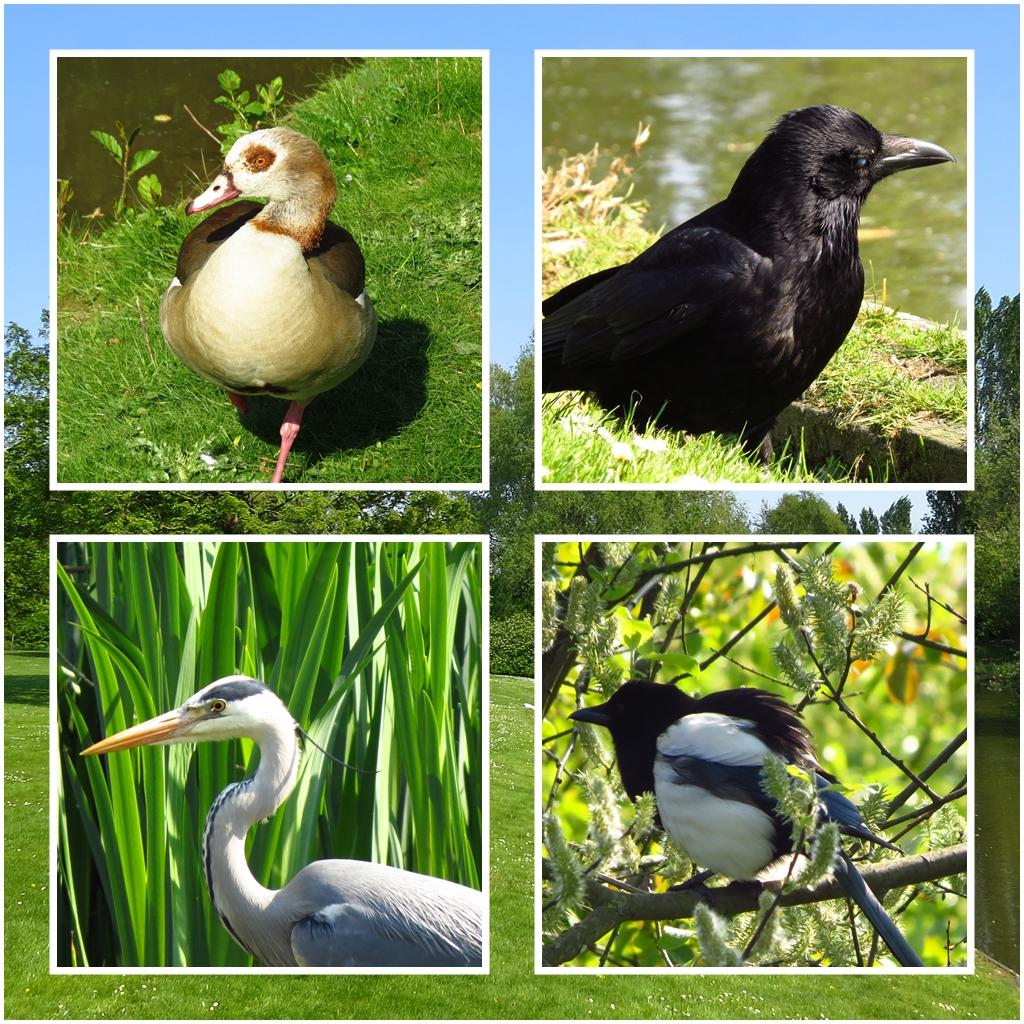 Parque cerca de la Catedral