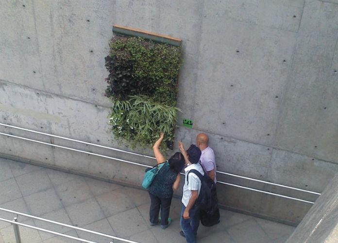 grupo-cria-jardim-vertical-com-calca-jeans3