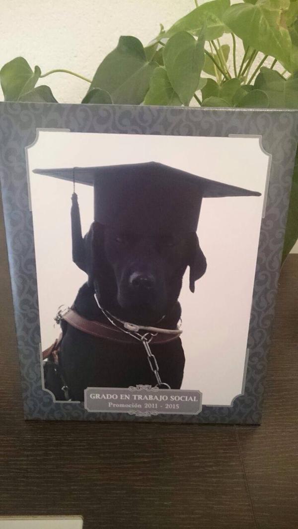 perra con borla graduada