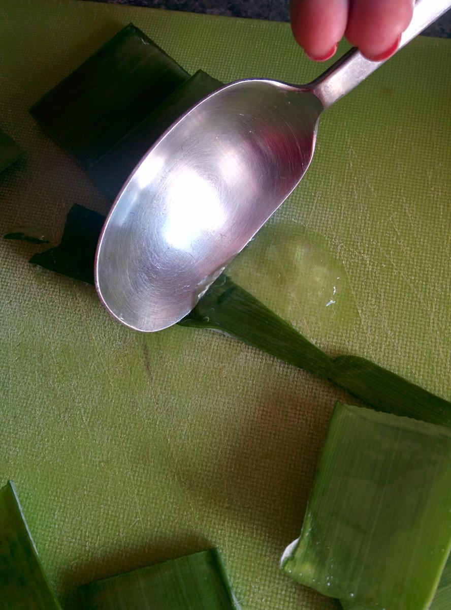 IMG_20151011_164737[1]