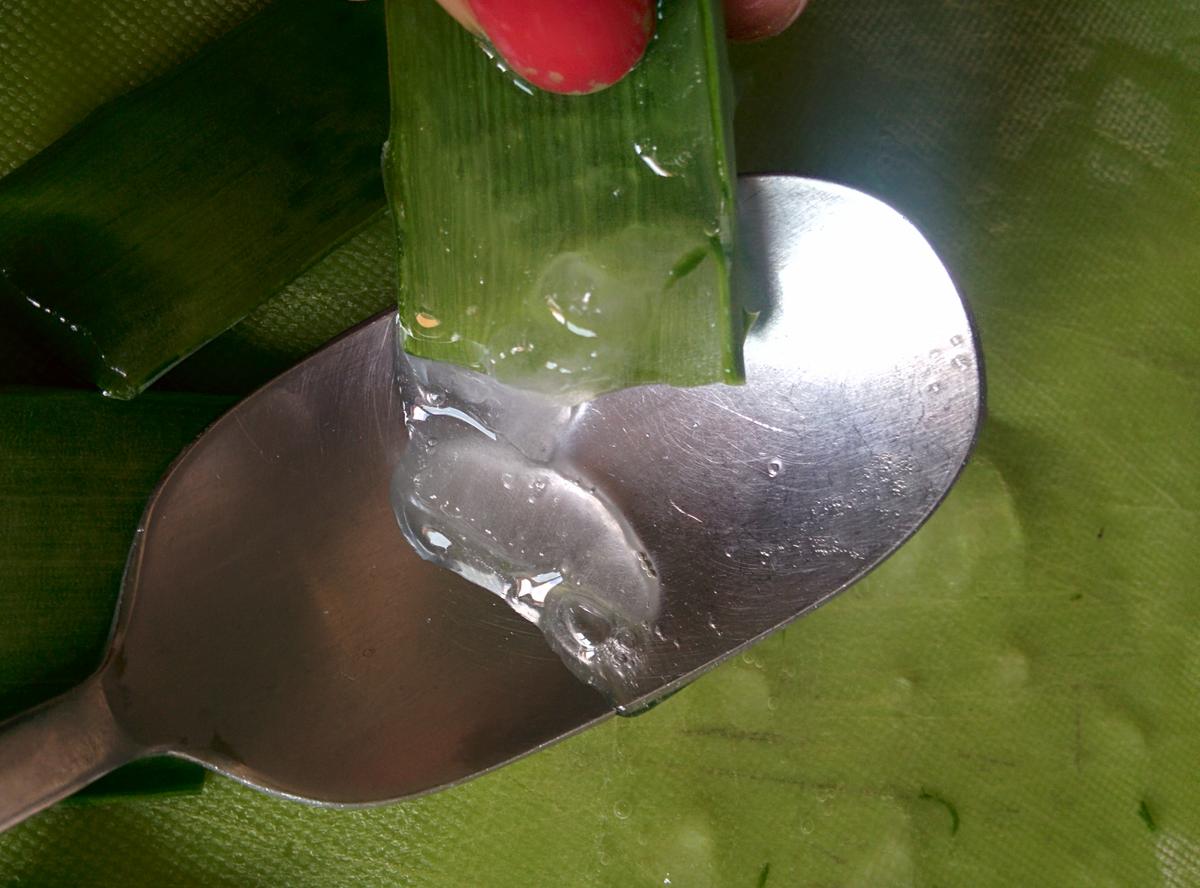 IMG_20151011_165014[1]