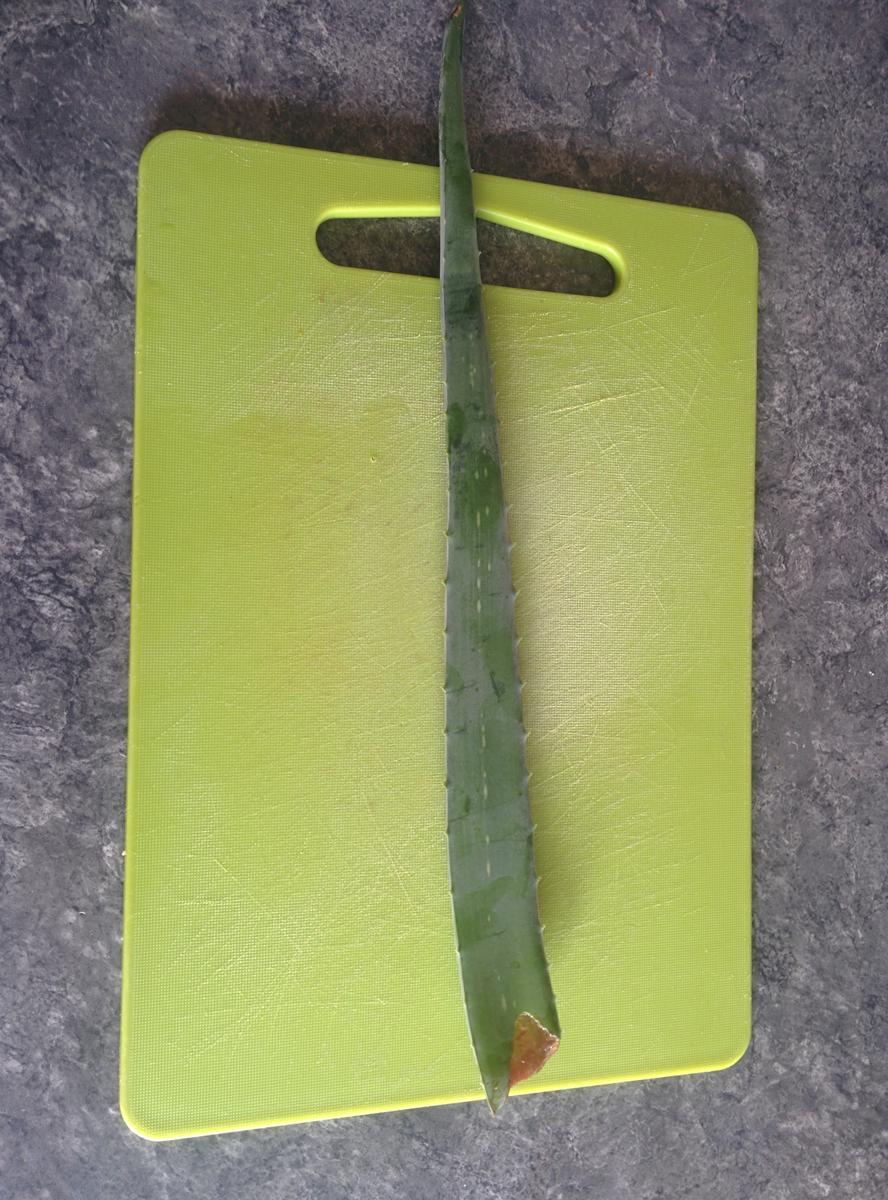 IMG_20151011_164402[1]