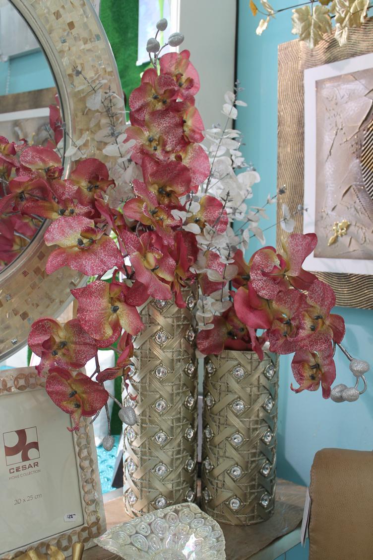 renovando Virginia Esber 15