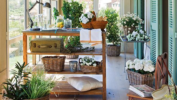 c-explosion-vegetal11-6184-33211-md