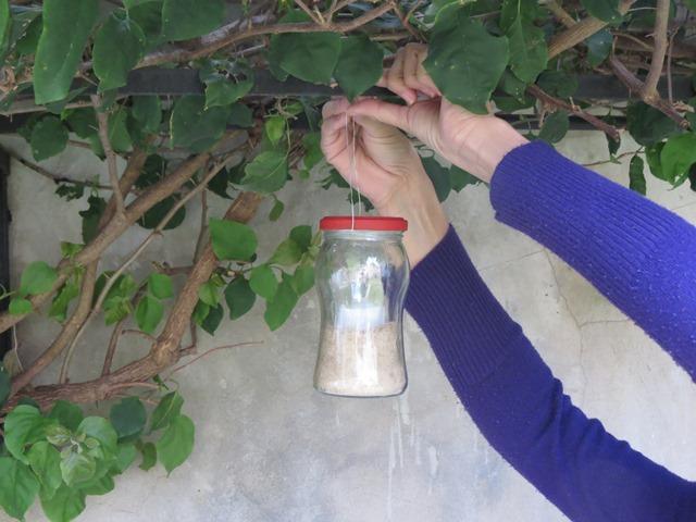 7 - Colgando el fanal