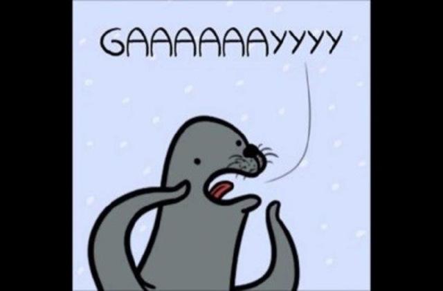 foca gay memes en español